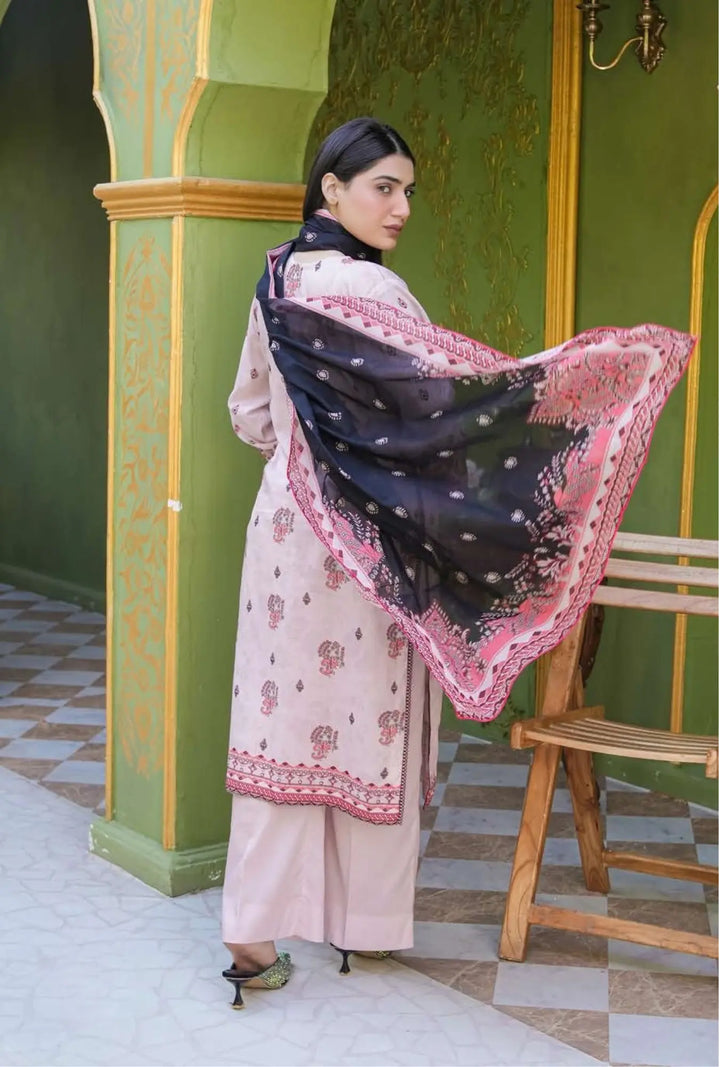 Blush Ethnic  3-Piece Unstitched